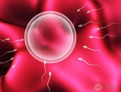 广州三甲医院做试管哪家好：采卵和取精后需要多长时间才能交配并获得结果？