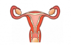 宁波52岁合法助孕-三级乳糜泻的治疗方案有哪些？